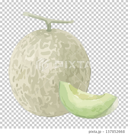 水彩風の青肉メロンのイラスト 137852668