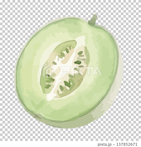 Watercolor-style illustration of a green-fleshed melon 137852671