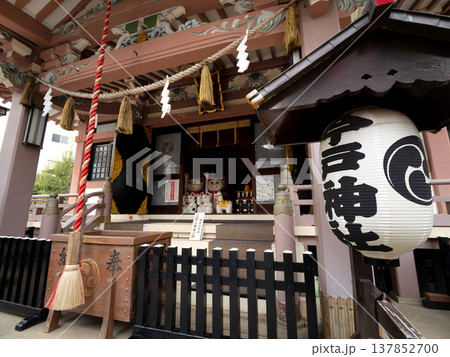 浅草 今戸神社の拝殿 東京都 浅草 今戸神社の拝殿 東京都 137852700