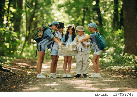 Navigation by using the map. Group of children in the forest on a hike Navigation by using the map. Group of children in the forest on a hike 137852743