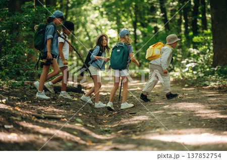 Side view, going together. Group of children in the forest on a hike 137852754