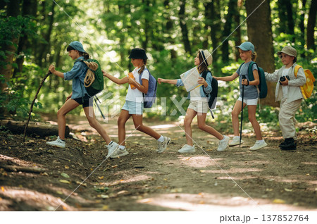 Side view, going together. Group of children in the forest on a hike 137852764