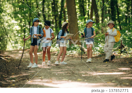 Weekend activities, walking. Group of children in the forest on a hike Weekend activities, walking. Group of children in the forest on a hike 137852771