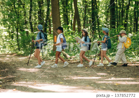 In the line, going after each other. Group of children in the forest on a hike 137852772