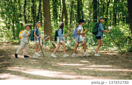 In the line, going after each other. Group of children in the forest on a hike 137852780