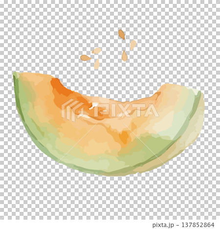 水彩風の赤肉メロンのイラスト 137852864