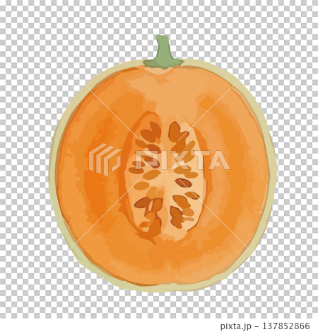 水彩風の赤肉メロンのイラスト 137852866