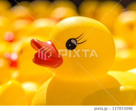 Yellow rubber ducks as a background 137853096