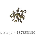Dry tea leaves 137853130