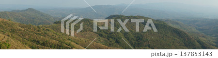 Panoramic view of mountains with lush green trees stretching into the distance, with clear sky. Panoramic view of mountains with lush green trees stretching into the distance, with clear sky. 137853143