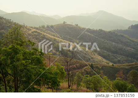 Rolling hills and lush trees under a cloudy sky create a picturesque landscape 137853150