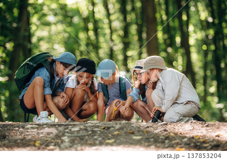 Focused, looking down, sitting, map. Group of children in the forest on a hike Focused, looking down, sitting, map. Group of children in the forest on a hike 137853204