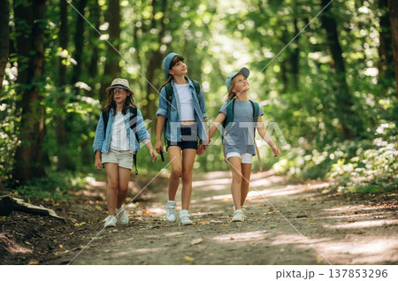 Going by the path. Girls kids are in the forest, hike conception Going by the path. Girls kids are in the forest, hike conception 137853296