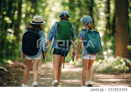 Going by the path. Girls kids are in the forest, hike conception Going by the path. Girls kids are in the forest, hike conception 137853305