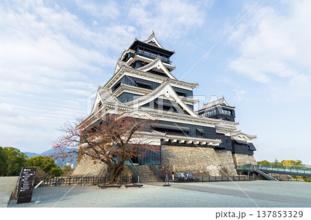 秋の熊本県熊本市 日本100名城 熊本城 天守 秋の熊本県熊本市 日本100名城 熊本城 天守 137853329
