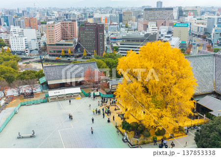 秋の熊本県熊本市　日本100名城　熊本城　大天守からの眺望 137853338