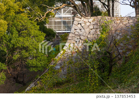 秋の熊本県熊本市 日本100名城 熊本城 秋の熊本県熊本市 日本100名城 熊本城 137853453