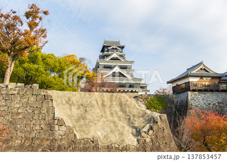 秋の熊本県熊本市　日本100名城　熊本城 137853457