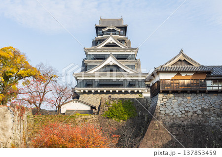 秋の熊本県熊本市　日本100名城　熊本城 137853459