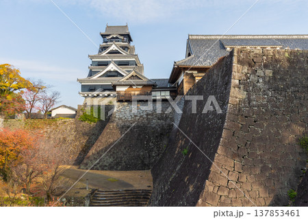 秋の熊本県熊本市　日本100名城　熊本城 137853461