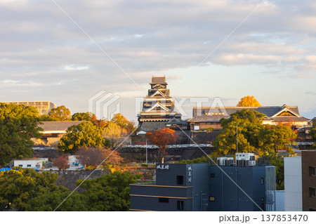 秋の熊本県熊本市　日本100名城　早朝の熊本城 137853470