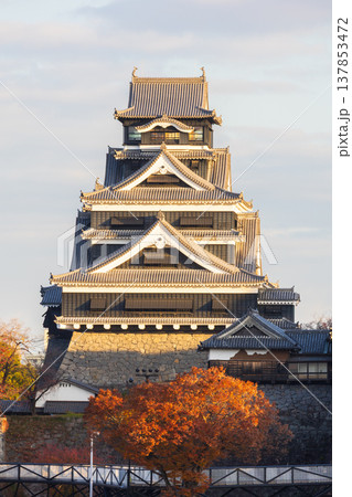 秋の熊本県熊本市　日本100名城　早朝の熊本城 137853472