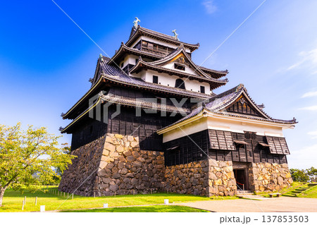 【日本100名城】松江城の秋の風景　本丸から見た国宝天守14　島根県松江市 137853503