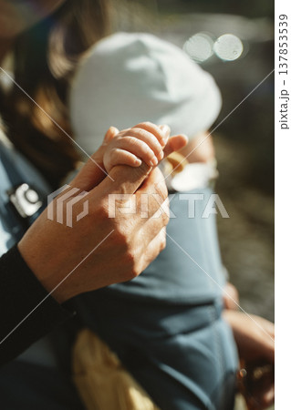 Baby Hand Holding Adult Hand Close-up Moment Baby Hand Holding Adult Hand Close-up Moment 137853539