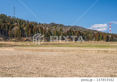奥琵琶湖西浅井町の田園風景　滋賀県長浜市 137853582