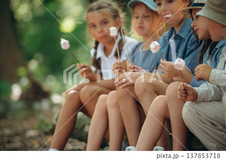 Resting and eating marshmallow. Group of children in the forest on a hike Resting and eating marshmallow. Group of children in the forest on a hike 137853718