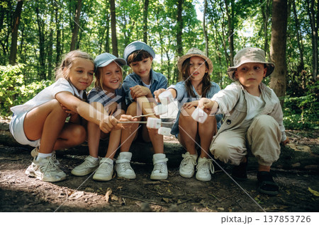 Tasty marshmallow are on sticks in hands. Group of children in the forest on a hike Tasty marshmallow are on sticks in hands. Group of children in the forest on a hike 137853726