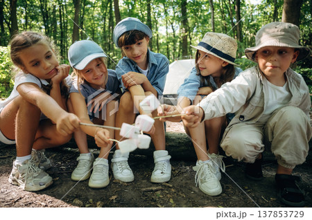 Cheerful, marshmallow time, sitting. Group of children in the forest on a hike Cheerful, marshmallow time, sitting. Group of children in the forest on a hike 137853729