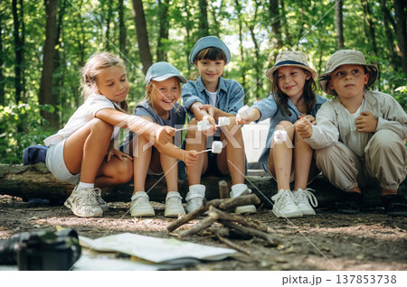 Marshmallow on the sticks. Group of children in the forest on a hike Marshmallow on the sticks. Group of children in the forest on a hike 137853738