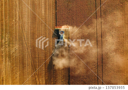 Top aerial view. Agricultural machine harvesting wheat 137853935