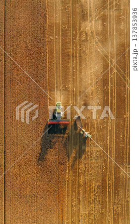 Top aerial view. Agricultural machine harvesting wheat 137853936