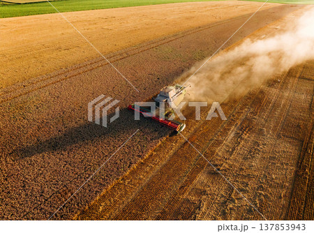 Rural non urban scene, on the field. Agricultural machine harvesting wheat 137853943