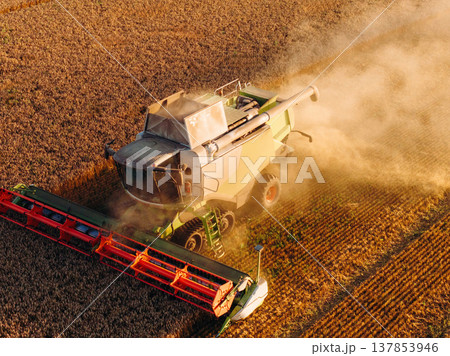 Line of dust, working. Agricultural machine harvesting wheat Line of dust, working. Agricultural machine harvesting wheat 137853946