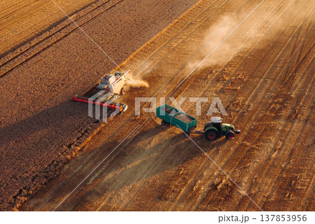 Collecting grain. Agricultural machine harvesting wheat 137853956