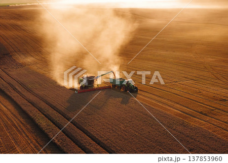 Rural non urban scene, on the field. Agricultural machine harvesting wheat 137853960