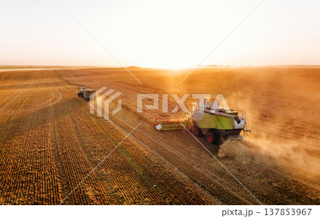 Professional occupation, driving forward. Agricultural machine harvesting wheat 137853967