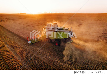 Professional occupation, driving forward. Agricultural machine harvesting wheat 137853969