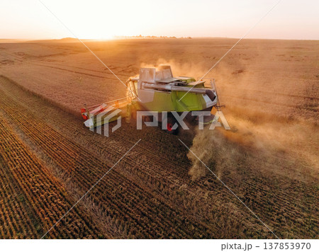 Professional occupation, driving forward. Agricultural machine harvesting wheat 137853970