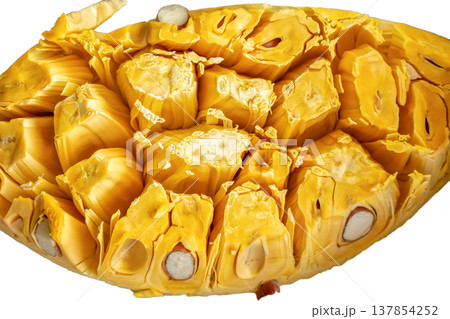 Fresh ripe jackfruit flesh 137854252