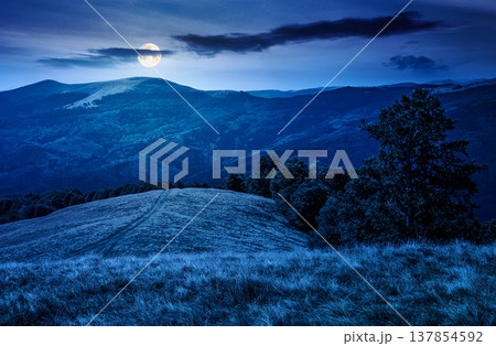 mountainous landscape in late summer at night. full moon over gorgeous highland woods. grassy meadow under cloudy sky. countryside scenery picture with beech forest on a hill behind the pasture 137854592