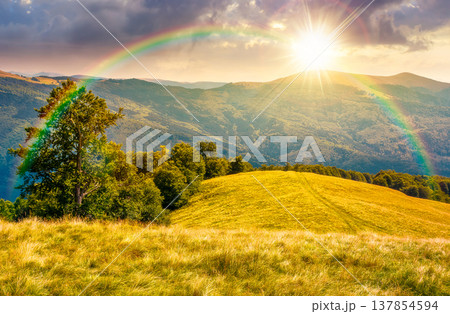 sunset over mountainous landscape in late summer. gorgeous highland woods. grassy meadow under cloudy sky with rainbow. countryside scenery picture with beech forest on a hill behind the pasture 137854594
