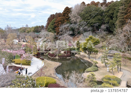 偕楽園の水戸の梅まつり 偕楽園の水戸の梅まつり 137854787