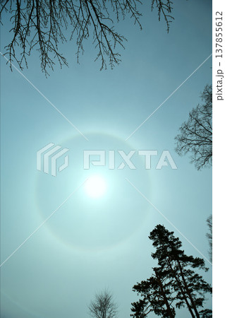 自然現象　ハロ 137855612