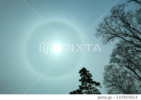 自然現象 ハロ 自然現象 ハロ 137855613