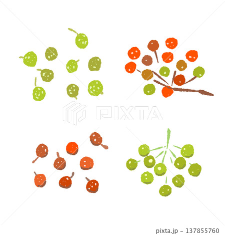 赤と緑の山椒の実（枝付き）のイラストセット素材 137855760