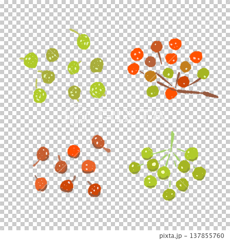 赤と緑の山椒の実（枝付き）のイラストセット素材 137855760